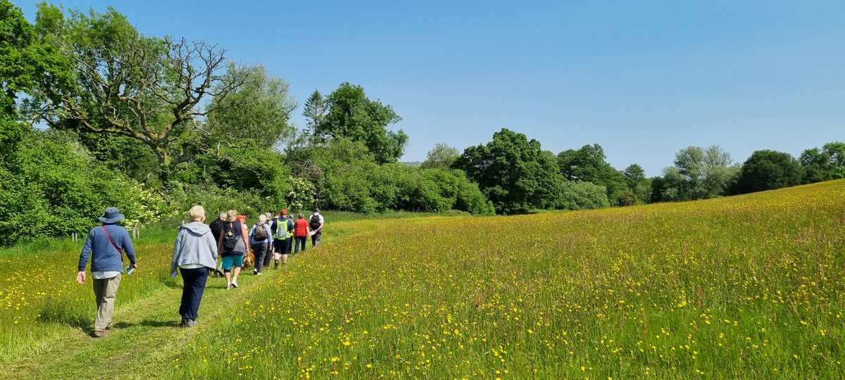 This May marks #NationalWalkingMonth in the UK. 

With vast countryside and stunning National Landscapes making up most parts of the county, there is plenty of places to explore in celebration of this nationwide occasion! bit.ly/3Lqjc8b