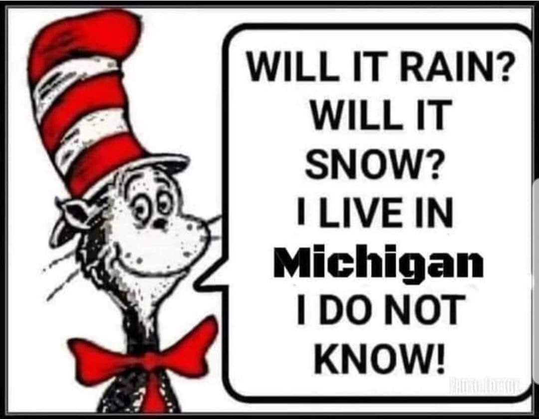 Mother Bipolar Nature always up in the air & confused.. 🙄