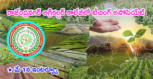 Agricultural College: రాజేంద్రనగర్‌ అగ్రికల్చరల్‌ కాలేజీలో టీచింగ్‌ అసోసియేట్ పోస్టులు 
pratibha.eenadu.net/notifications/…
#AgriculturalCollegeRajendrangar #Latestjobs #TeachingAssociatePosts