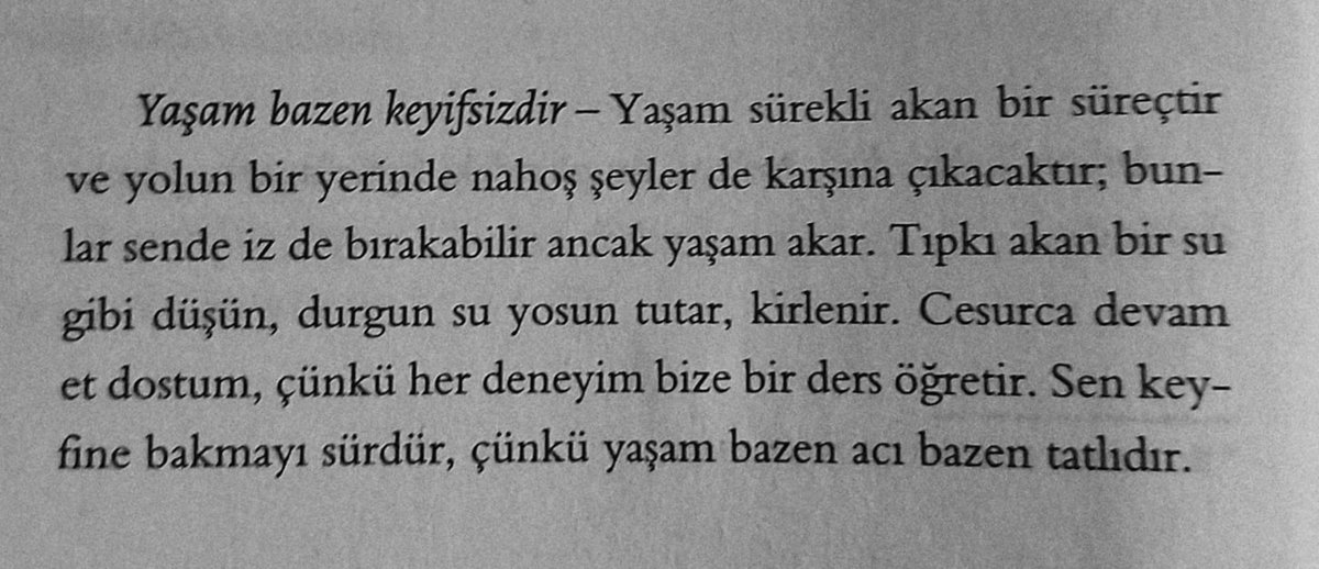 'Yaşam sürekli akan bir süreçtir ve yolun bir yerinde nahoş şeyler de karşına çıkacaktır; bunlar sende iz de bırakabilir ancak yaşam akar — Cesurca devam et dostum, çünkü her deneyim bize bir ders öğretir. Sen keyfine bakmayı sürdür, çünkü yaşam bazen acı bazen tatlıdır.'