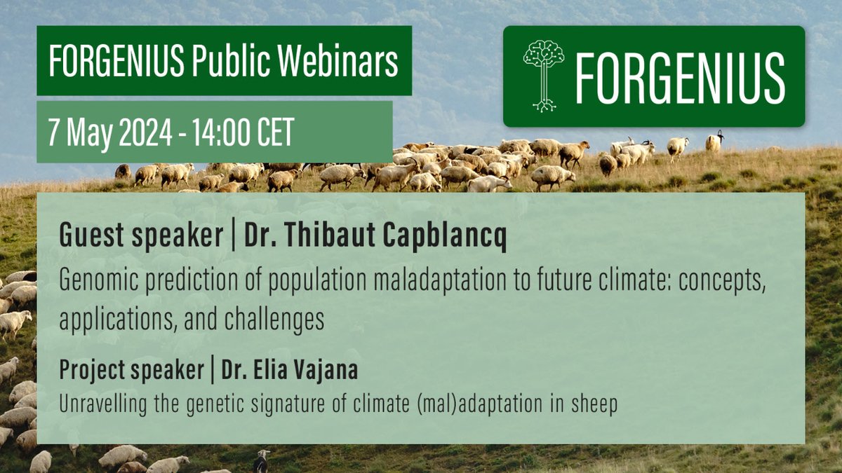 📢Join #FORGENIUS 4⃣ public webinar as Dr Elia Vajana sheds light on indigenous sheep breeds' genetic adaptations to diverse climates 🐑

🗓️ 7 May | 🕑14:00 CEST

Find out more and register!👉forgenius.eu/webinars