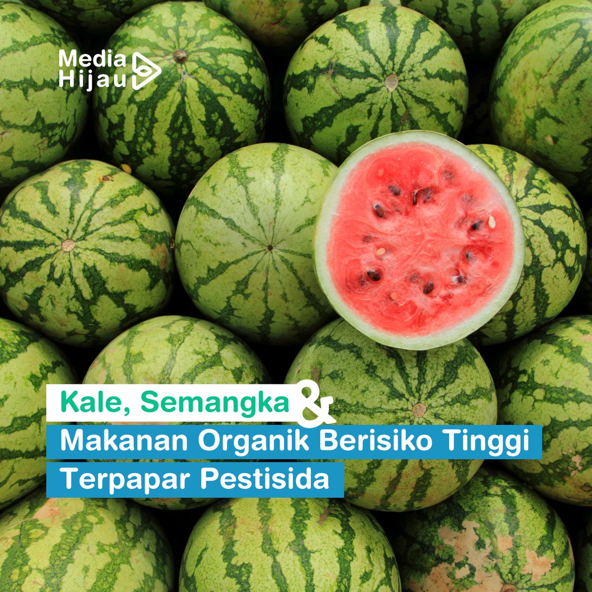 Consumer Reports merilis laporan terkait kontaminasi pestisida di supermarket AS.

Follow @mediahijaucom untuk tau tren terbaru #greenlifestyle dan #perubahaniklim 🌱

#genz #perubahaniklim #greenlifestyle #gayahiduphijau #gayahidupterbarukan #pestisida #buahbuahan #sayuran