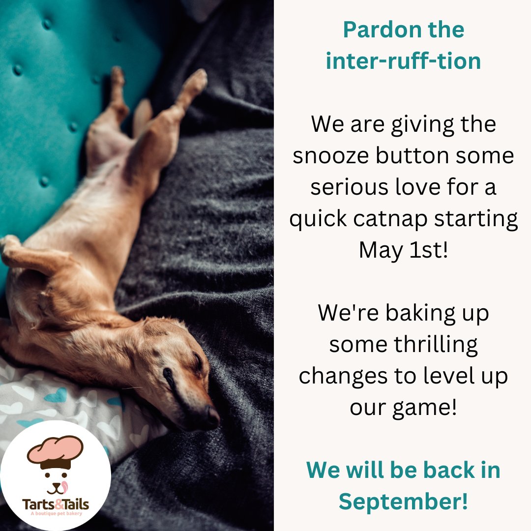 Get your orders in soon, before we hit the paaaws button! 🐶🐕⏸️

#Dog #Pet #dogmom #dogsoftwitter #dogsofinstagram #dogstagram #instadog #doglovers #doggo #doglife #dogsoftwitter #dogtreats #dogs #womenownedbusiness #dogfood #adogslife #pets #rescue #blackwomanownedbusiness