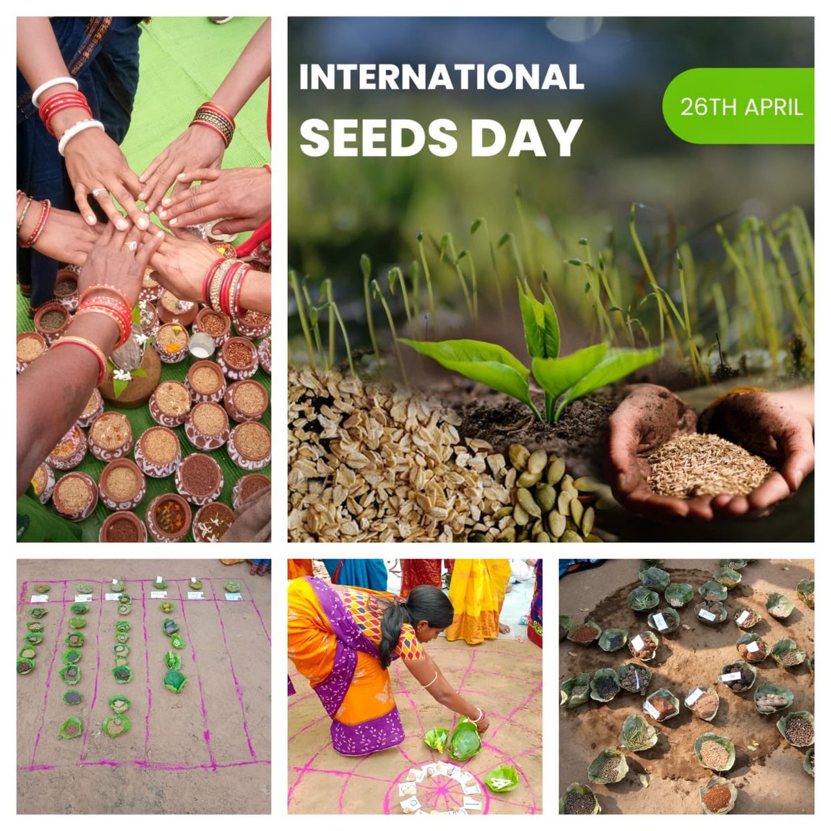 🌱 Happy International Seeds Day! Seeds are vital for biodiversity and food security. At NYDHEE, we empower farmers to conserve indigenous seeds, ensuring a greener, healthier future. #InternationalSeedDay #SeedConservation #FoodSecurity