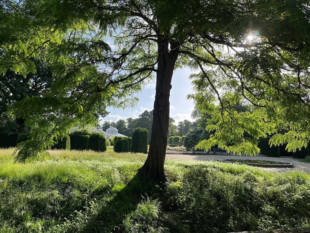 Occasionally is it necessary for us to alter our opening times in order to complete essential works. We will be performing essential tree maintenance work on Wed 1 May and Wed 15 May 2024 and so opening slightly later than usual at 08:30. Thank you for understanding.