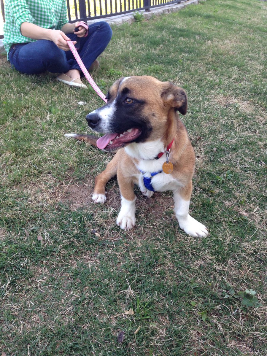 starkinatrix tweet media