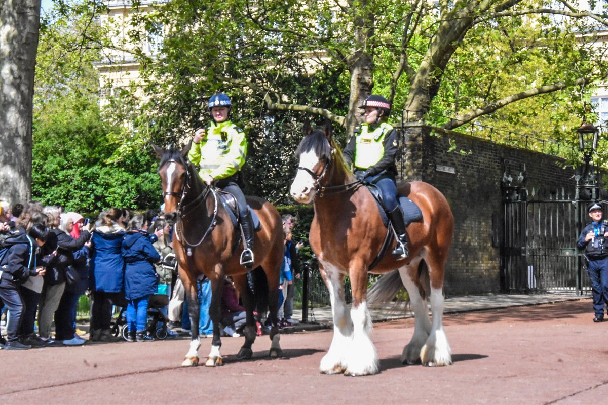 Friday 26th April 2024. Nice to meet up with the @CityHorses of Police Horses Pollard and Andy for today's Guard change with the old guard of the Queen Gurkha Signals and the Band of the Bridge of Gurkhas. Photographer: Mark Leishman