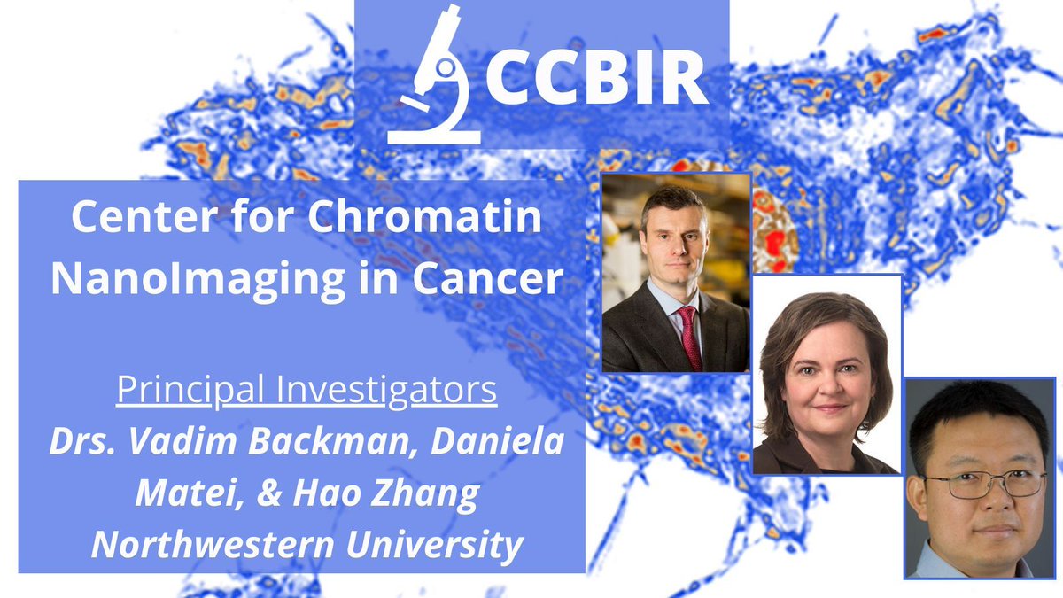 The @NorthwesternU #CCBIR Center for Chromatin NanoImaging in Cancer, led by Dr. Vadim Backman, @matei_dem, & Dr. Hao Zhang, is testing new #nanoimaging technologies to enable studies of #cancerstemcells (#CSCs). cancer.gov/about-nci/orga…