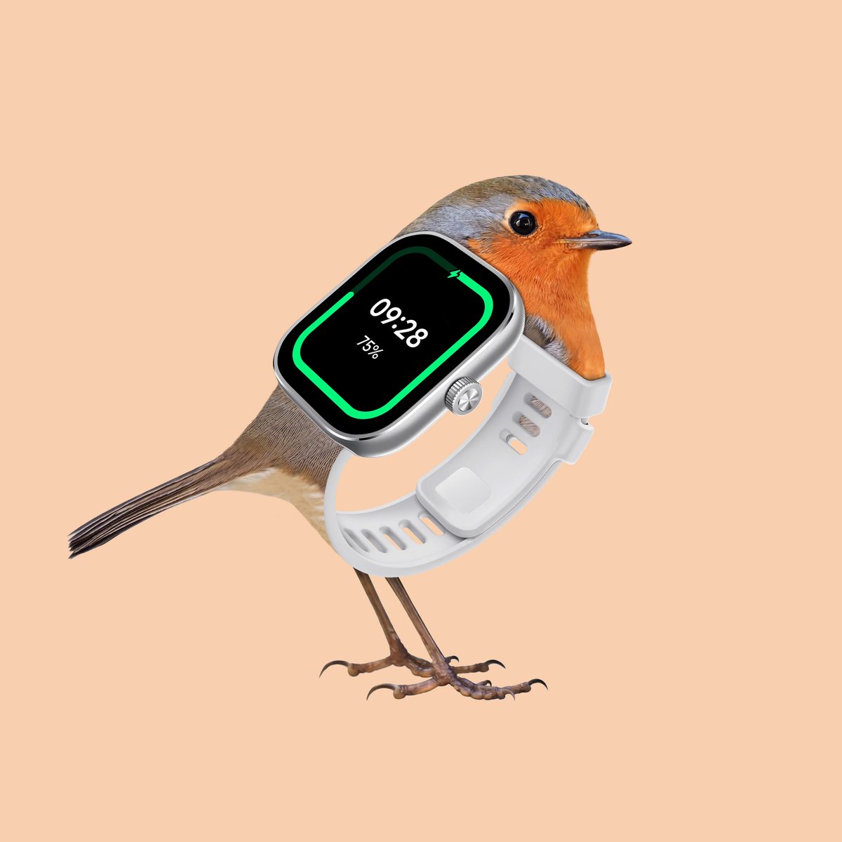 Xiaomi's tweet image. It&apos;s a whole ecosystem! Explore and vote your fave with an emoji.

🎨Les Créatonautes (IG: les.creatonautes)

#RedmiNote13ProPlus5G #RedmiBuds5Pro #RedmiWatch4