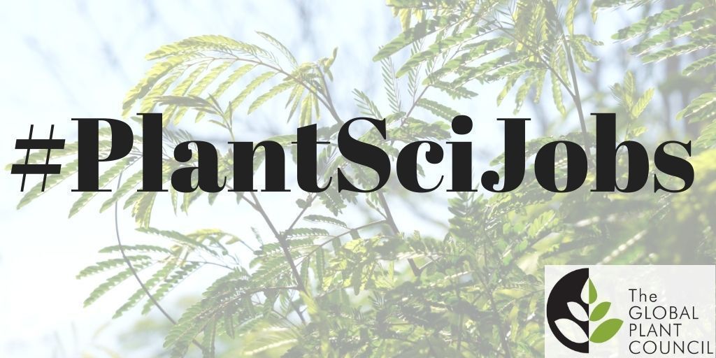 See you TODAY for our #plantscijobs storm. We start in one hour! #LastFridayOfTheMonth 🍃🍃🍃🍃