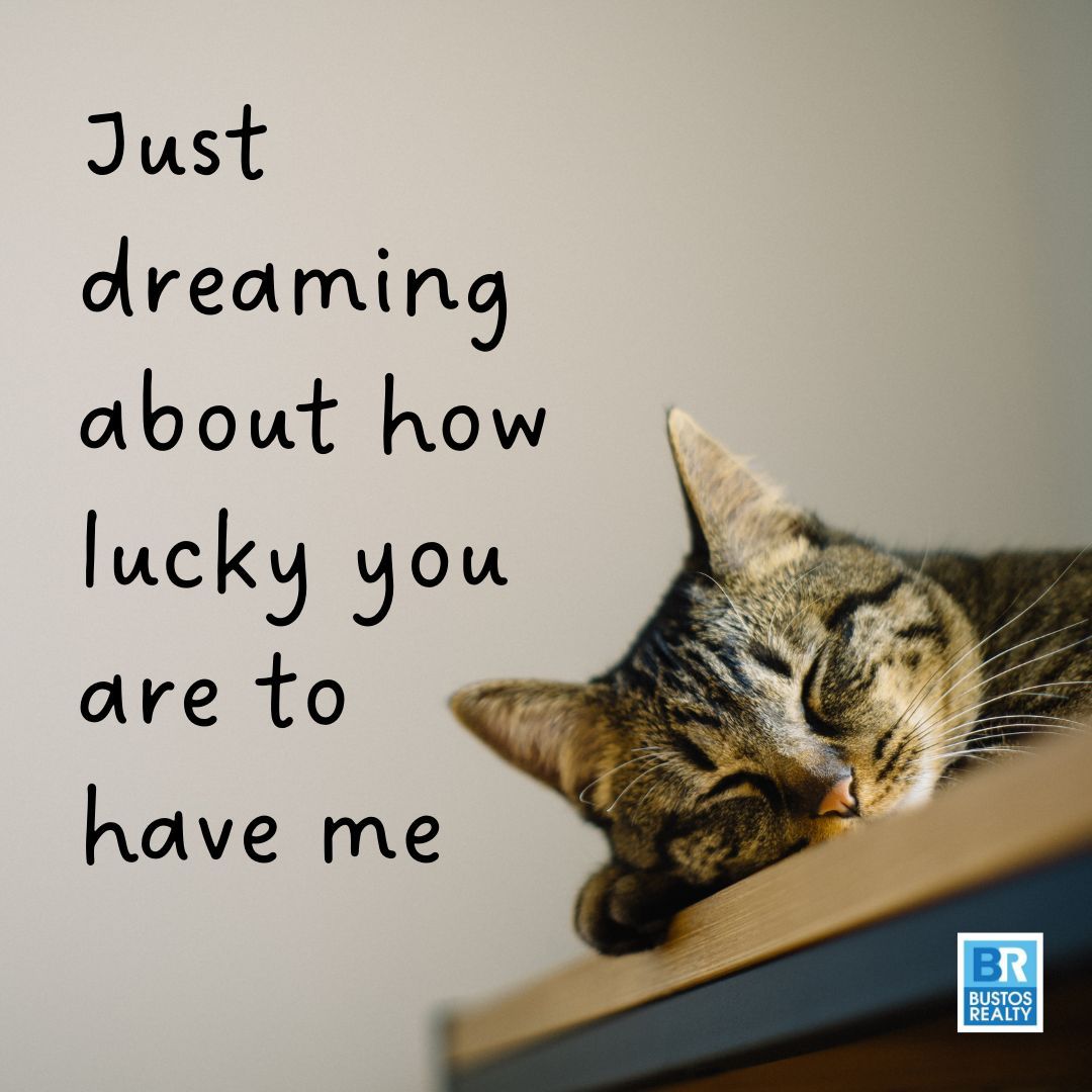 Just dreaming about how lucky you are to have me. 😉 

#LuckyInLove #DreamingOfYou #RelationshipGoals #FeelingLucky #GratefulHeart #LoveYouMore #DreamingTogether