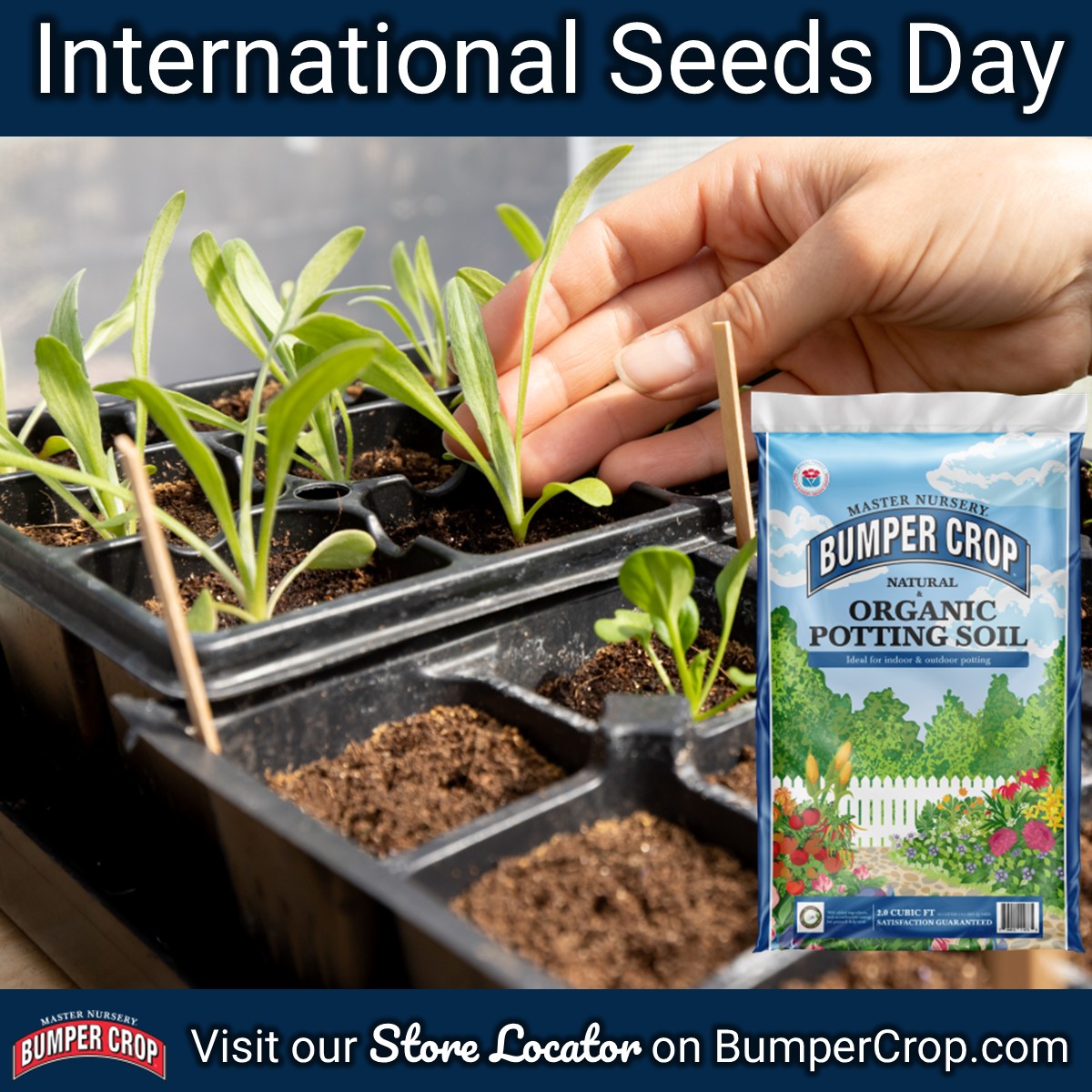MN_BumperCrop's tweet photo. Know what you are eating.  Start your seeds with our organic Bumper Crop® products. https://t.co/VL70fhA4H5 #Seeds #InternationalSeedsDay #BumperCrop #SoilBuilder #PottingSoil https://t.co/abablUTQle
