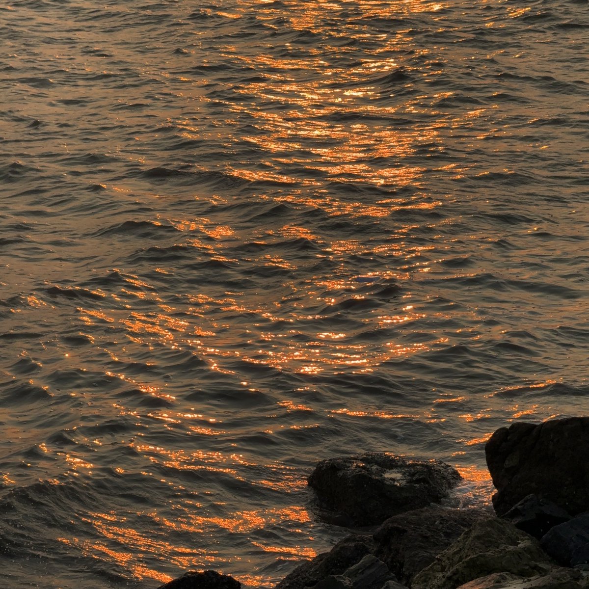 “ชอบใครให้ชวนไปทะเล” เป็นประโยคบอกรัก :-)