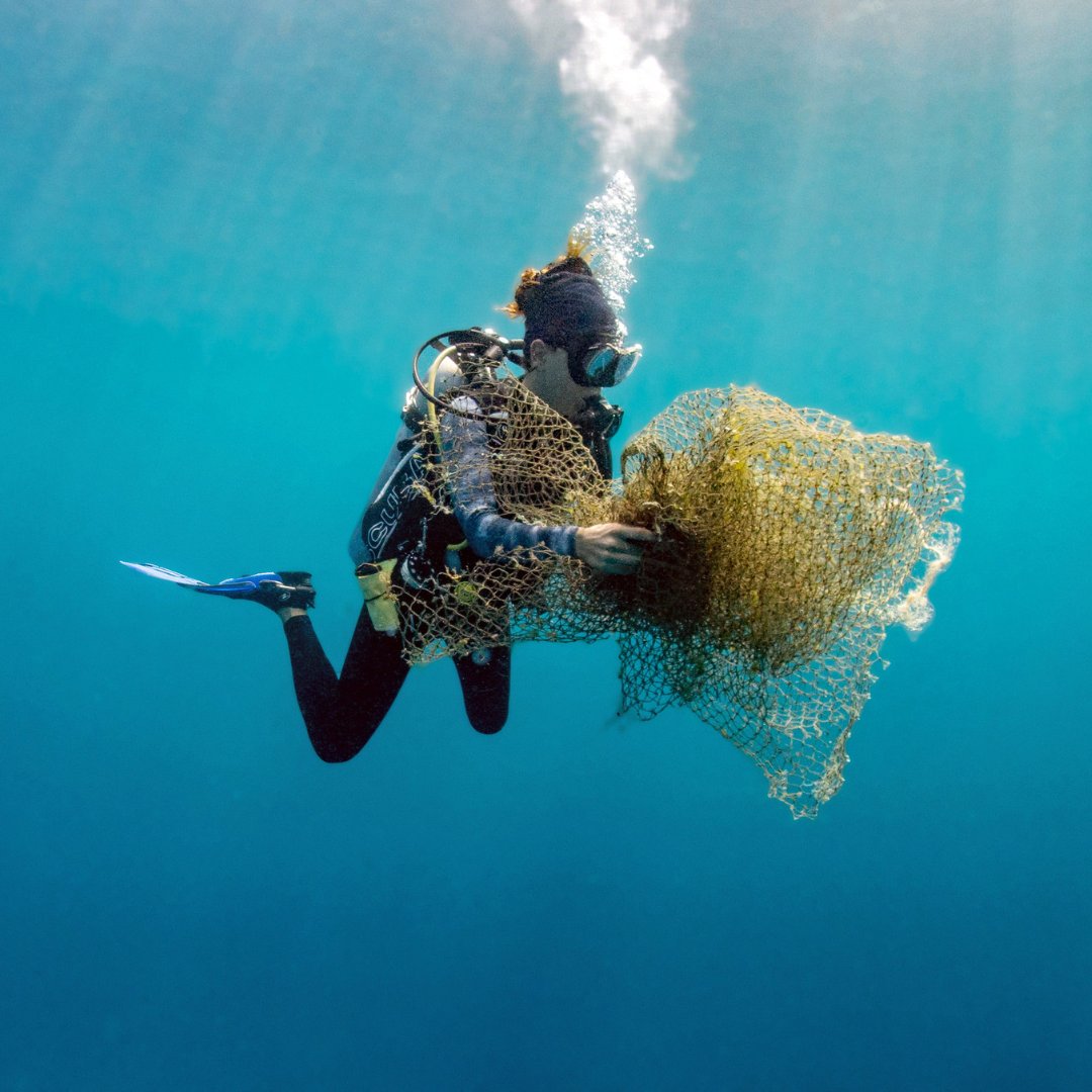 Untangling the underwater world! 💙🌊 Let's work to free corals (and other marine life) from the grasp of fishing nets and lines, ensuring a brighter future for our oceans. 🪸 #savetheocean @seikousa

📷: IG 'krisunterwasser'