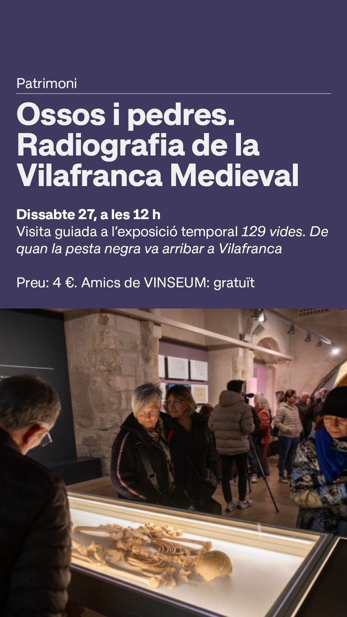 VINSEUM tweet media