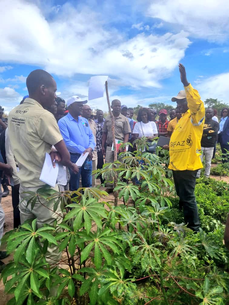 💡🤝Highlight from the @FAO & #EuropeanUnion supported #SIFAZ Field Day in #Kasama! Bazak Lungu, representing the #EuropeanUnion & the National Authorising Office, urged stakeholders to work hand in hand & implement the proven initiatives being promoted by the #SIFAZ Project 🌱