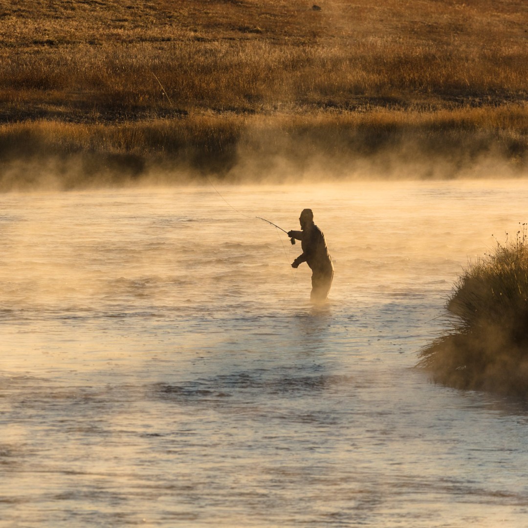 YellowstoneNPS tweet picture