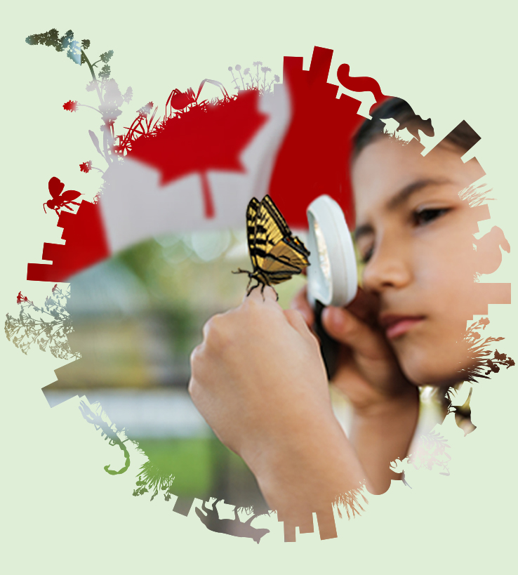 3-2-1-GO! 🌿 This is the weekend the world comes together to track biodiversity. The #CityNatureChallenge is on! Get all the details: ow.ly/xisO50RoH33

How to participate:
🔍 Find wildlife
📸 Take a picture
📲 Share on #iNaturalistCanada