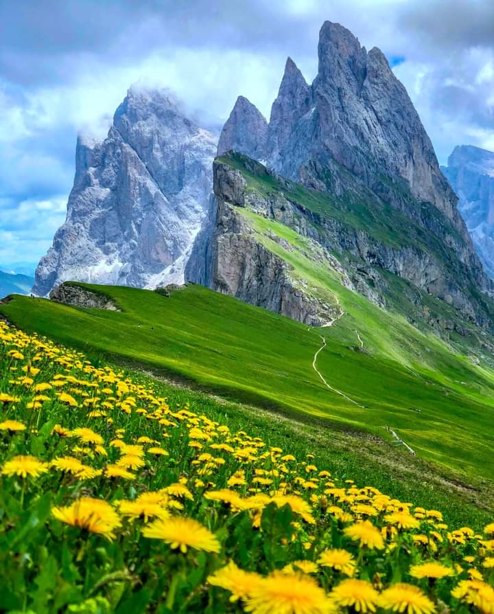 Seceda mountain, South Tyrol, Italy