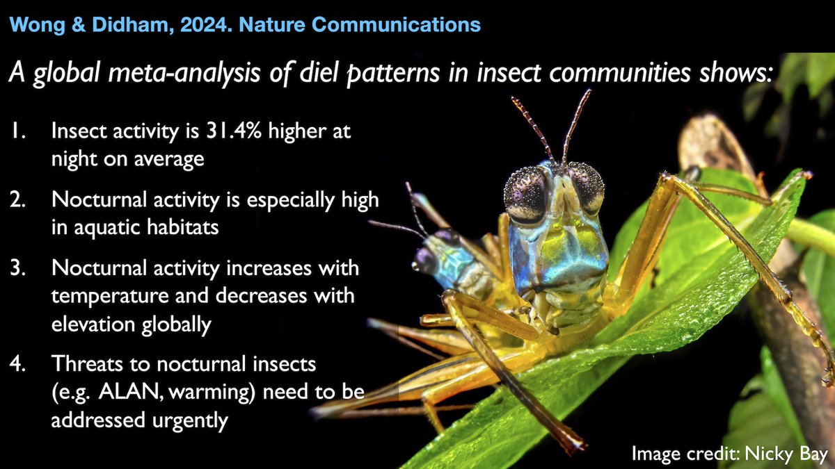 A few takeaways from our recent @NatureComms study on diel patterns in insect communities. Pls share with any folks working on #insect #biodiversity #ecology 🌎🦋🌘🌞🐜 Open Access paper: nature.com/articles/s4146…