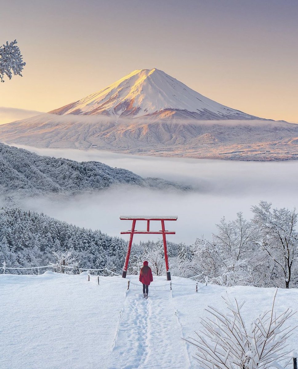 Mt. Fuji in winter ❄️