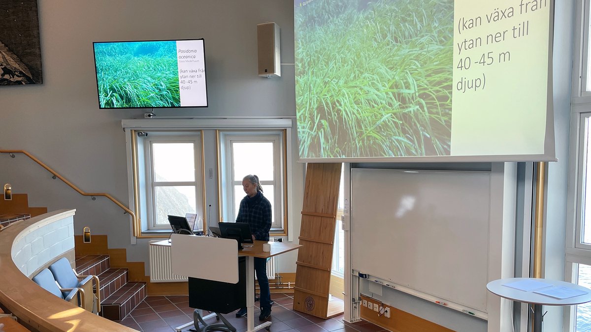 Idag har vi besök av Gullmarsgymnasiets marinbiologiska spetsutbildning. Fantastiskt att få vara med och inspirera nästa generation av havsforskare! Är din skola också intresserad av att besöka Kristineberg? Kontakta vår bokning 031-786 95 00, booking.kristineberg@gu.se