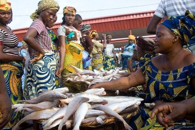 #DYK Healthy ecosystems mean healthy fisheries!  Biodiversity is vital for Nigeria's fishing industry and food security.
#WhatHasChanged? #ActforNature 

@WWF @CSDevNet1 @FMEnvng @UNBiodiversity @UNDPNigeria @EUinNigeria @PACJA1 @aacjinaction @FAO @gatesfoundation @officialABAT