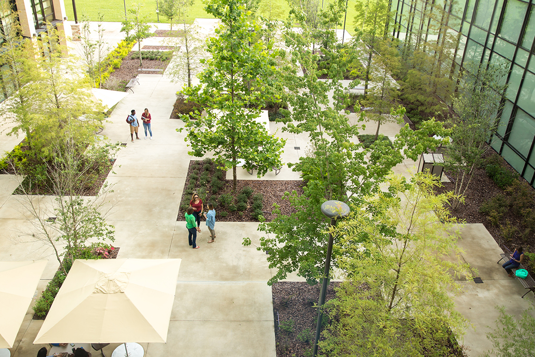 ValenciaJobs's tweet image. 🌳 @valenciacollege is proud to celebrate that the @ArborDay Foundation has designated us a #TreeCampus in Higher Education for the past 11 years. 🌲 We love our campus trees — they help save energy, contribute to cooling, provide oxygen and clean our air. #ArborDay