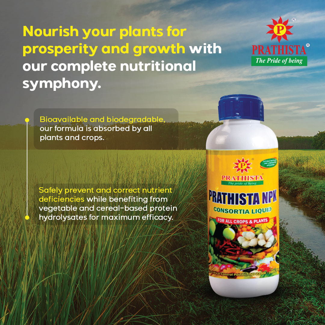 Experience the perfect harmony of nutrition for your plants to flourish and prosper with Prathista NPK.

#plantnutrition #agro #agroproducts #cropcare #cropprotection #cropprotectionproducts #bioavailable #biofertilizer #NPKfertilizer  #agrobusiness #prathistaindustrieslimited