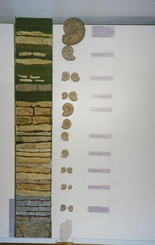 April 26, 1774, birthday of German #geologist Christian Leopold von Buch. Introduced the Jurassic, the concept of guide #fossils, published one of #Germany's first geological maps & argued that the #Alps⛰️ formed by magmatic intrusions tinyurl.com/3arxwjbh