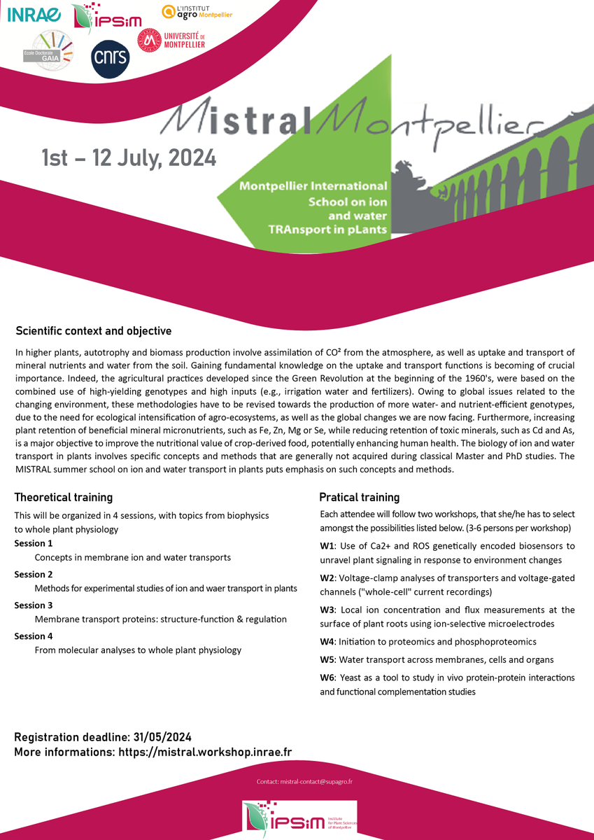 FeROS Group tweet media