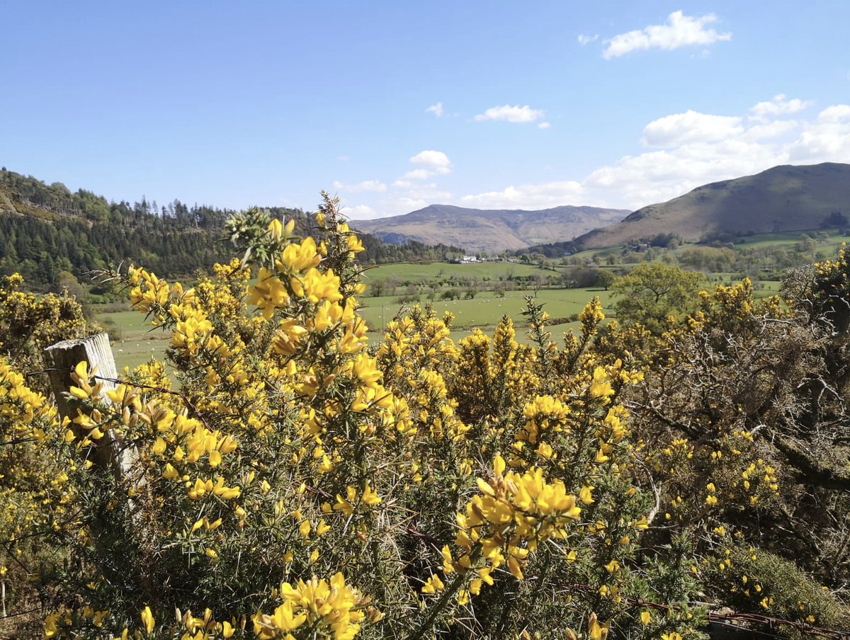 We’re getting some lovely weather in the next week. Why not come and stay in Braithwaite On offer: braithwaitehouse.co.uk/accomodation #braithwaite #tearoom #keswick #cumbria #lakedistrict #lakes #bankholiday #roomsavailable