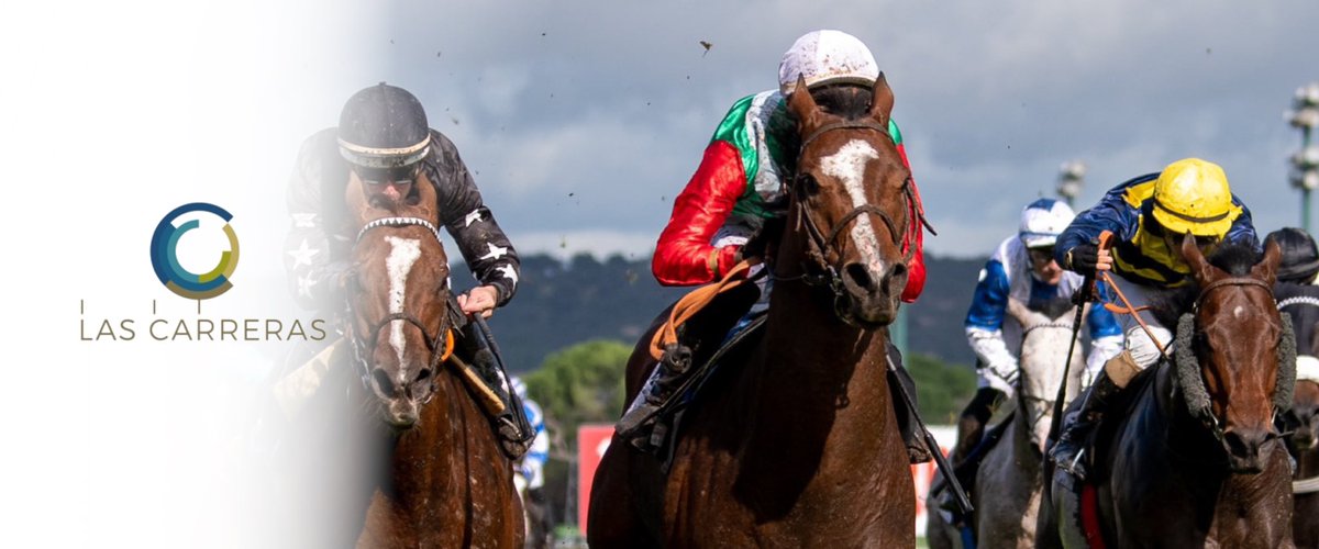 #Madrid 28-04-2024 🐎 Aún no has descargado tu programa de mano para la jornada de carreras en @HipodromoMadrid ⁉️ El domingo 🔴en DIRECTO desde las 11:15 en @MovistarPlus DEPORTES 3 (dial 65) ⬇️ Programa de mano lascarreras.com/wp-content/upl…