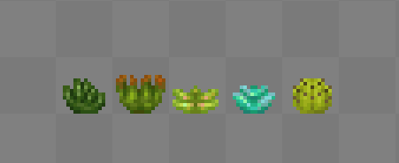 Succulents
#pixelart #minecraft