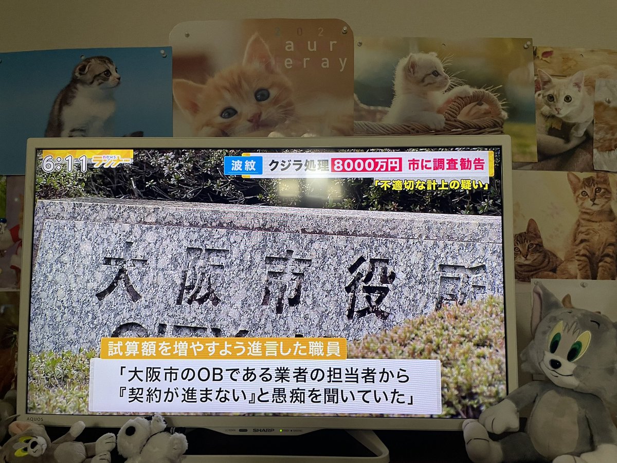 @Hayashi21yoko #newsランナー 
大阪市試算額3800万
業者側見積もり8600万
8000万で契約
大阪港湾局職員👉試算額を見積もり額に合わせる様に上司に進言
特殊清掃費526万は8000万に近づける為計上する事が相談され👉市のOBである業者の担当者から契約が進まないと愚痴を聞いていた
松井当時市長は海に帰したいと8000万