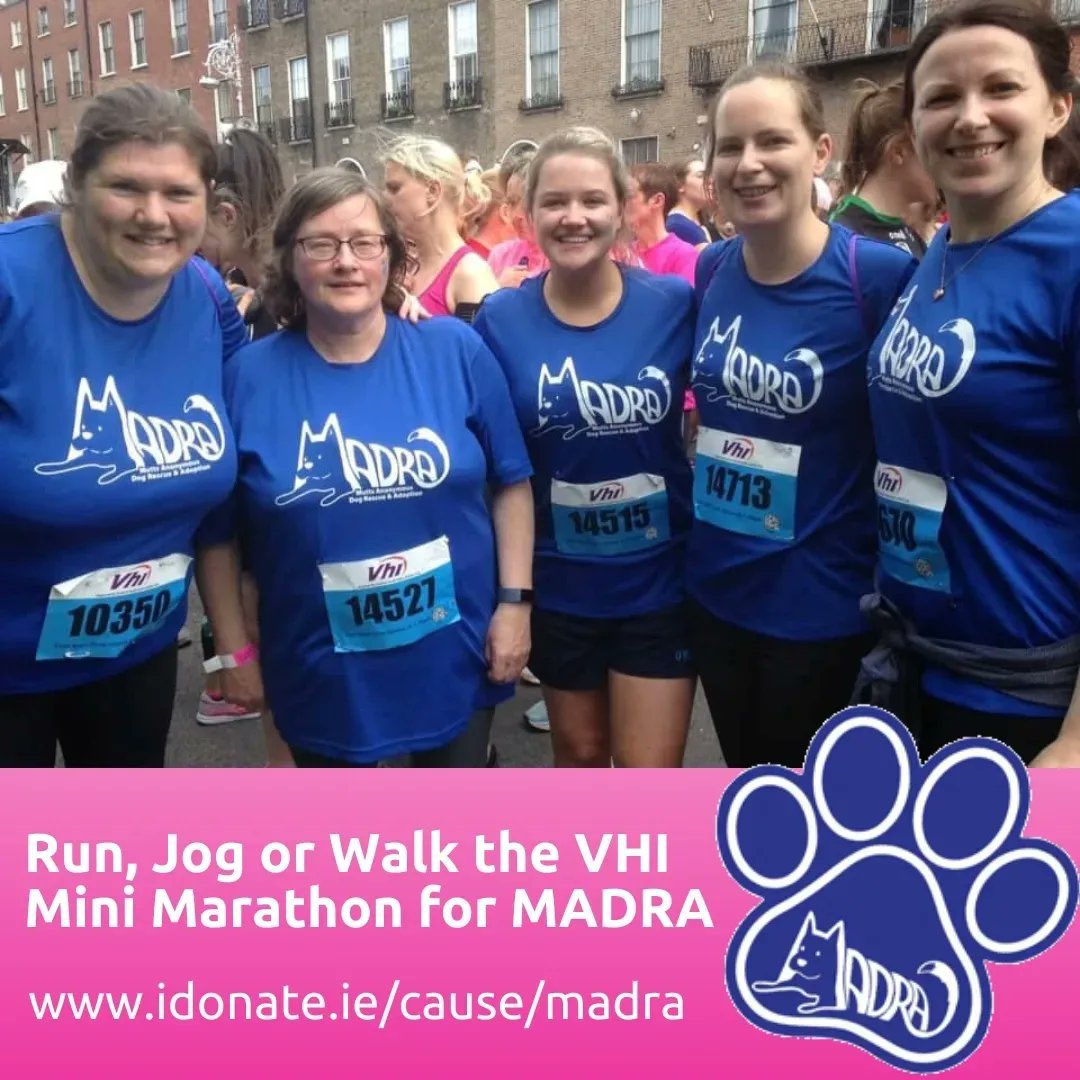 Have you joined Team MADRA for 2024 VHI Women’s Mini Marathon on Sunday June 2nd?🏃🏽‍♀️ Tell your friends and workmates - help us raise vital funds for our homeless dogs 🐕🐾 Find out how you can help make a difference:👉 madra.ie/vhi-womens-min… #vhiwmm #rescuedogs #MADRA