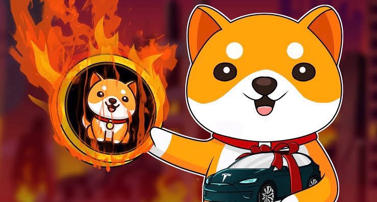 #BabyDoge holders, make some noise 🚀