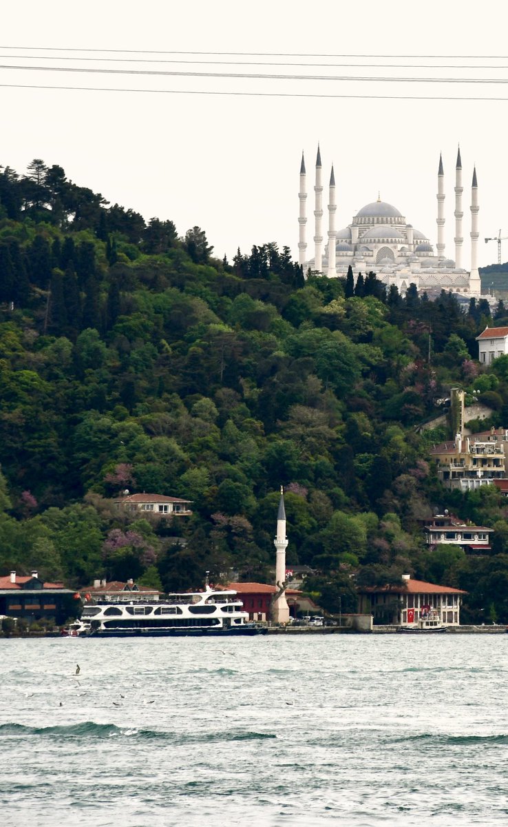 Vaniköy Camii ile Büyük Çamlıca Camii. 🪻