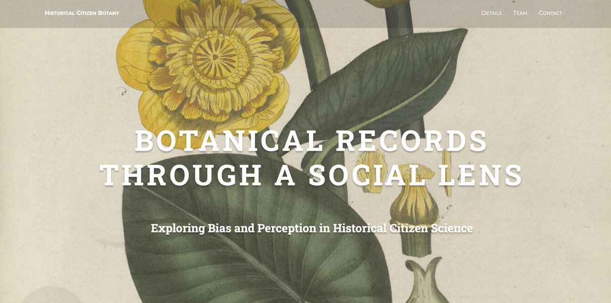 🌿 Join our 2.5-year postdoc @meertens_knaw! Explore historical bias & perception in botanical citizen science. Uncover societal shifts & cultural impacts in botany 🌼 🔗 Vacancy: vacatures.knaw.nl/job/Amsterdam-… 🔗 Project website: historical-citizen-botany.github.io/website/