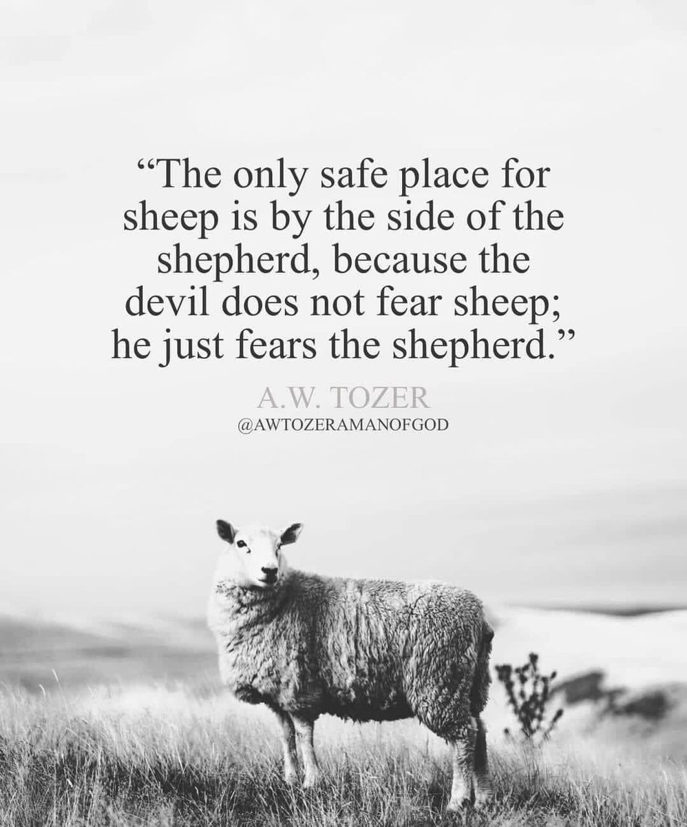 @HLERadio @EstVallChorale @rockin4jc @DANNAforSHERIFF @sharonePack @GrmJoy @Lindangle74 Happy Fri-Yay! ☕️🎵”Know ye that the Lord is God; it is He who made us….we are His people, the sheep of His pasture.” Ps. 100:3 Yes! We’ll be staying near the Shepherd! 🐑 #FridayMotivation