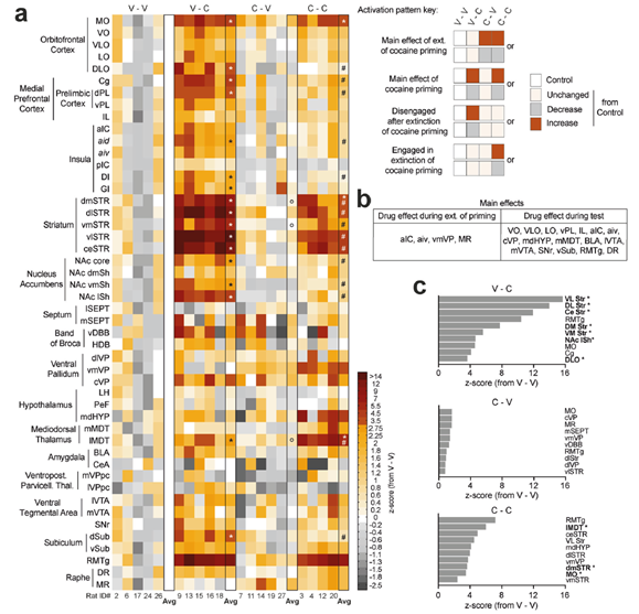 🍒 Serge Ahmed 🍒 @sergeahmed.bsky.social tweet media