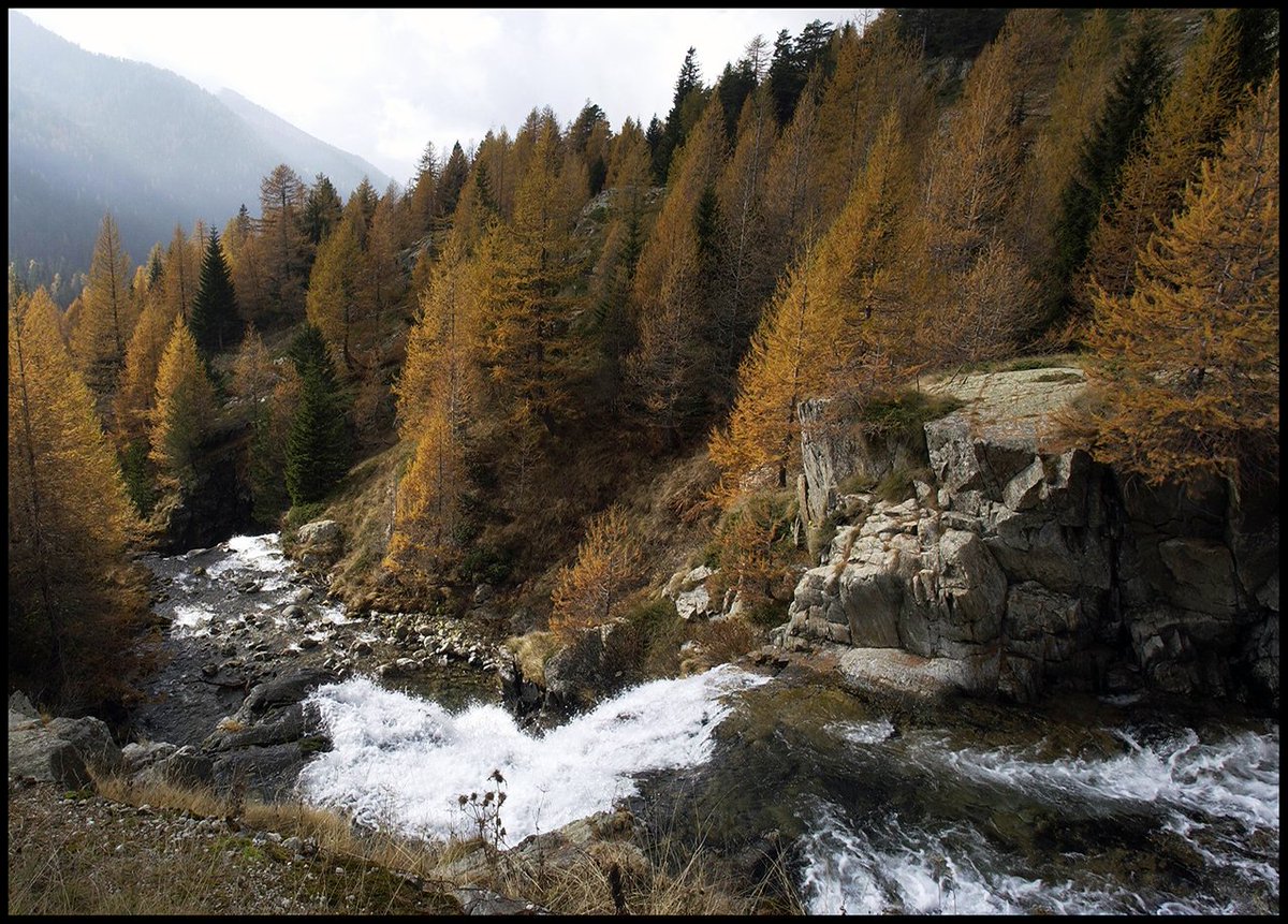 LE TORRENT DES MÉLÈZES...
Des jours à photographier ces paysages des Alpes Maritimes, ou n'existe que le silence et la beauté de la nature... 
Sur la commune de Saint Martin Vésubie, le col de Fenestre est un petit paradis préservé au pied du Parc national du Mercantour.  
©2024…