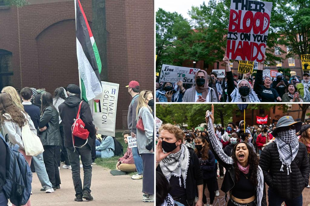 Horror as GWU protester carries sign with Nazi 'final solution' call for extermination of Jews #GWU #antisemitism #PalHellStine nypost.com/2024/04/26/us-… [nypost]