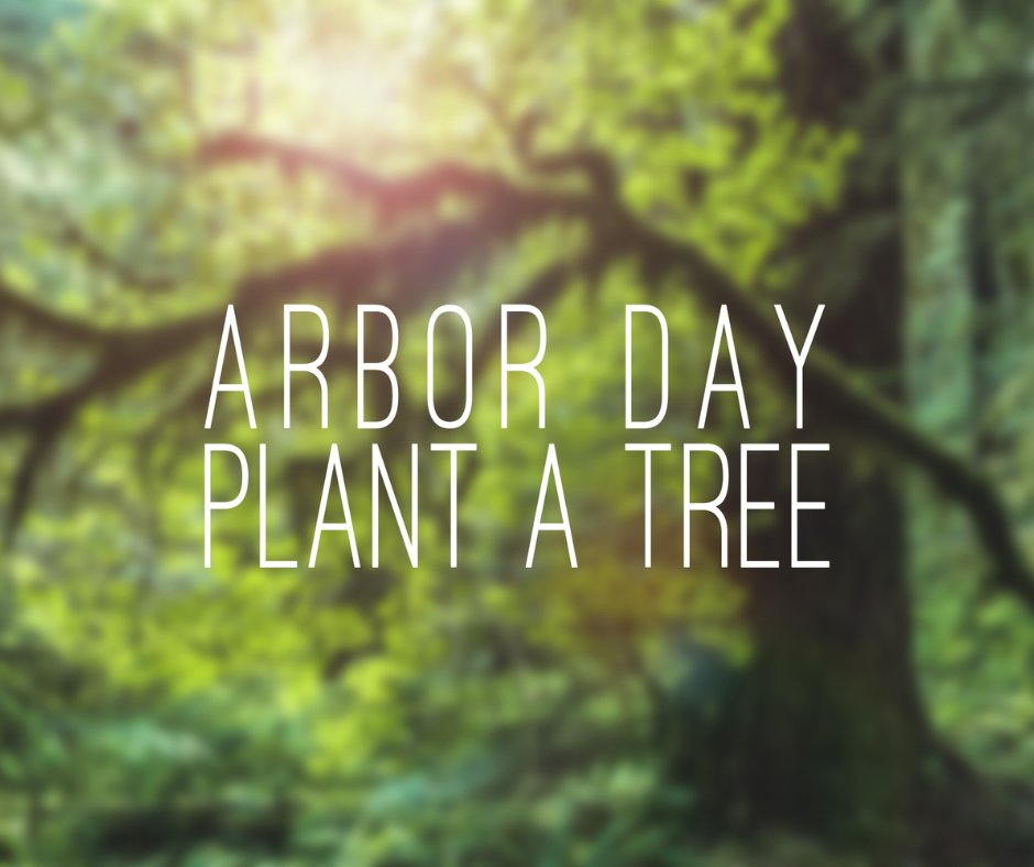 Happy Arbor Day! 🌳

#GuillenPestSolutions #ArborDay #Arbor #Trees #TreeLove #HappyArborDay #TreeDay #CaryIL