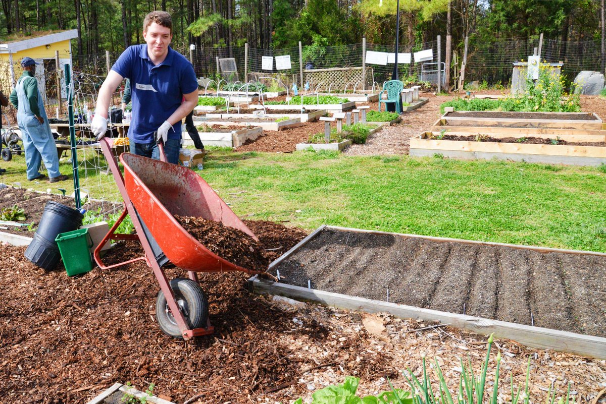 Do you live in the Triangle and want to try your hand at being a scientist and gardener? 🧑‍🔬🪴 Join Extension's citizen science experiment in conjunction with @LifeAtPurdue, @IowaStateU and @UTKnoxville testing home grower experiences! Sign up today: ncst.at/vbz450Rpj94