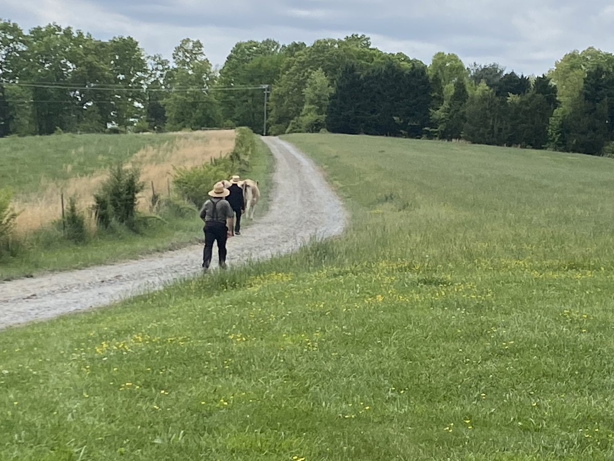 As much as I would have loved to keep Steak and Shake, I let my neighbors know where they were. Given their bovine containment system consists of string fencing, I have a feeling this won’t be the last time they come to visit.