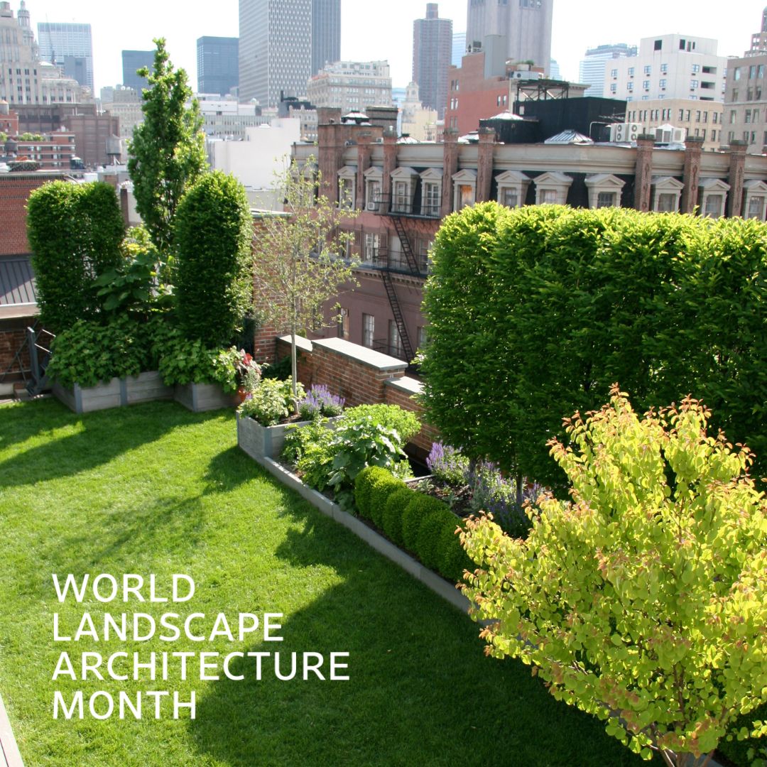 We love to see trees on a green roof! Trees are a beautiful way to create structure and shade on a roof. Do you know we have a Rooftop Trees soil system specifically designed for trees? Check it out: bit.ly/3Ucz5Ci #WLAM2024 #greenroofs #rooflite #rooflitesoil #trees