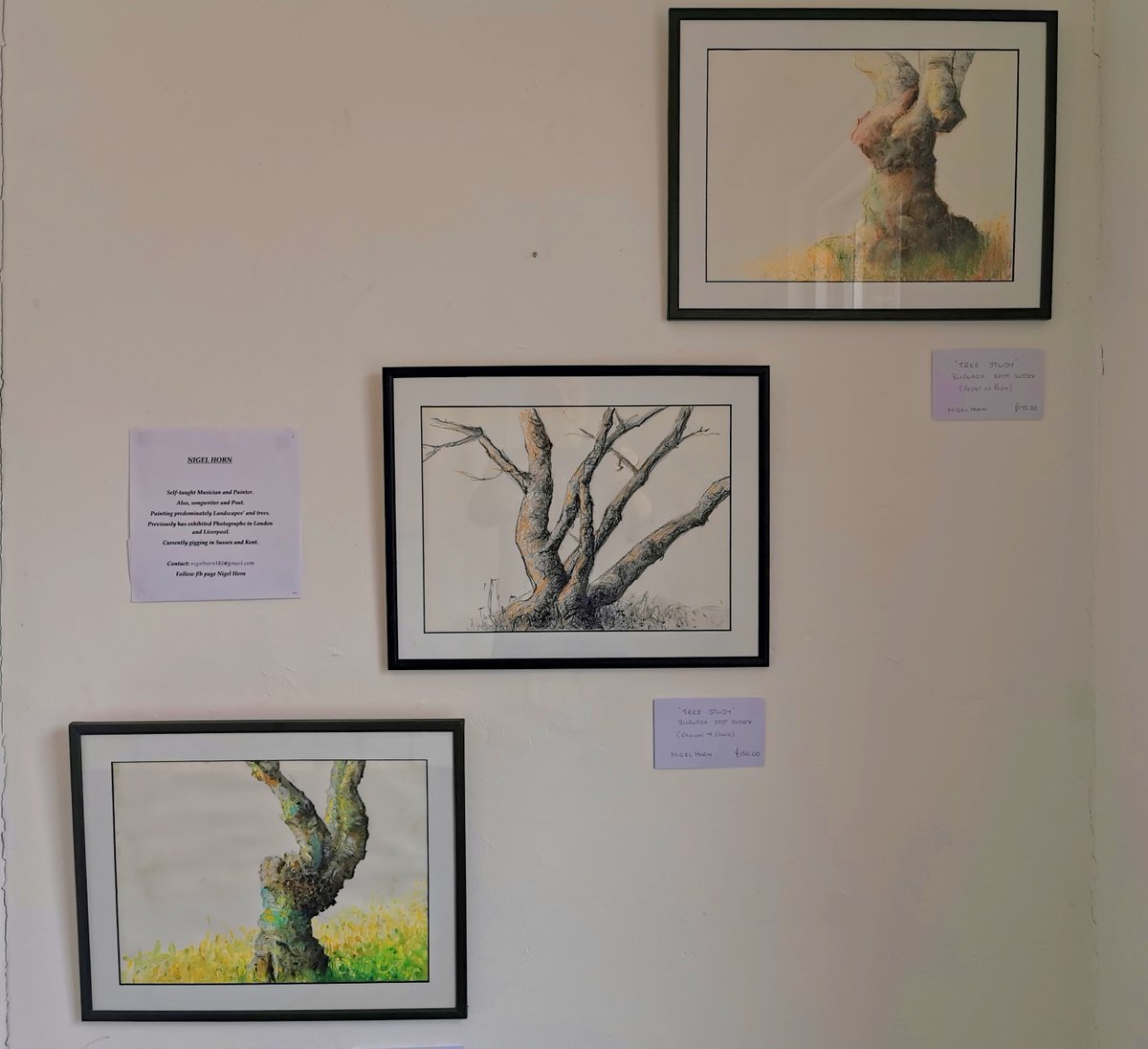 Work by Nigel Horn

#artgallerynorth #art #artist #hailsham #eastbourne #eastbourneart #artgallery #eastsussexart #kentart #sussexart #sussexartist #localartist #paintings #ceramics #woodwork #buyart