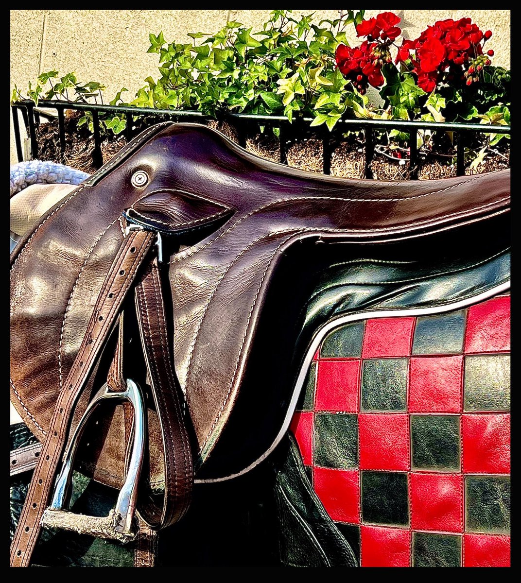 Today’s Found ART shot on my IPhone #churchilldowns #kentuckyderby #horseracing #kentucky #racehorse #derby #thoroughbred #kyderby #louisville #horses #equestrian #nbcsports #racehorsemag #longines #bbcsport #louisvilleky #equestrianvideographer #equestrianphotographer