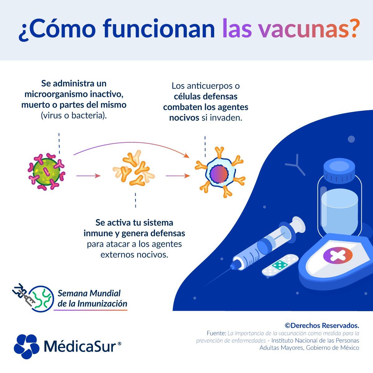 ¿Qué hay detrás de una #vacuna? Te explicamos de forma sencilla cómo funciona una vacuna cuando es aplicada en tu cuerpo. 

#SemanaMundialInmunizacion #LasVacunasFuncionan #Vacúnate #vacunación #inmunizacion #OMS #OPS